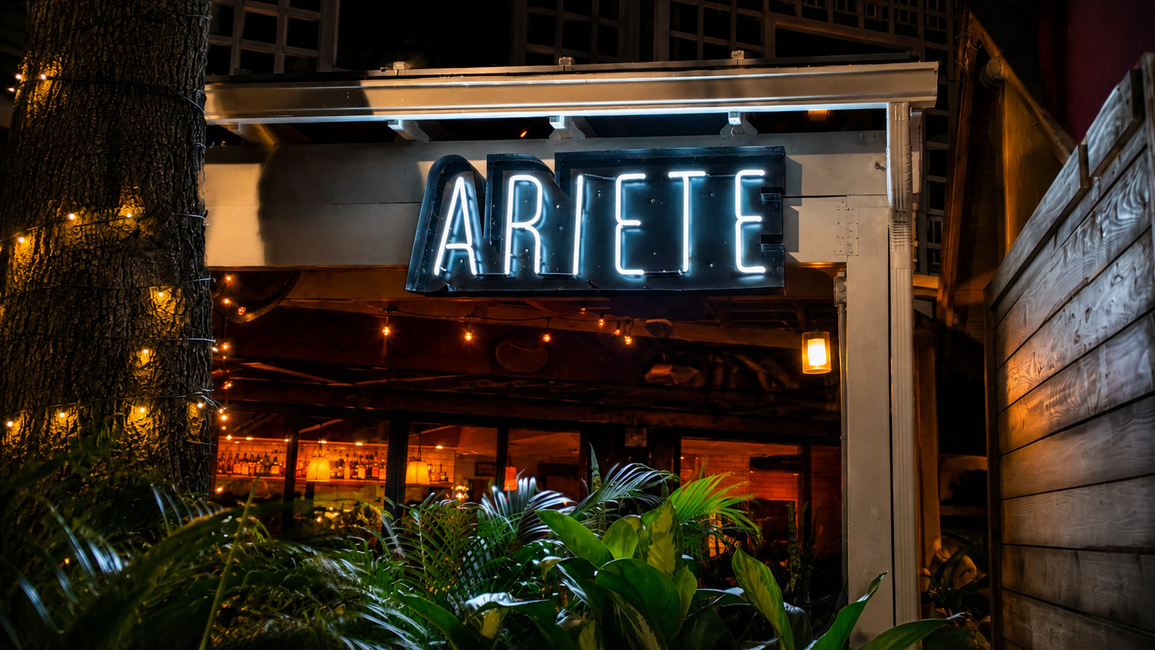 Ariete photo 5
